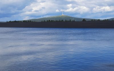 Mlha přede mnou, mlha za mnou