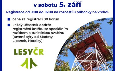 Žaltman v roli nováčka